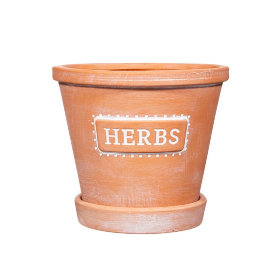 HERBS Terracotta Planter with Saucer