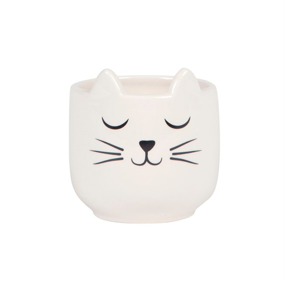 Mini Cat's Whiskers White Planter