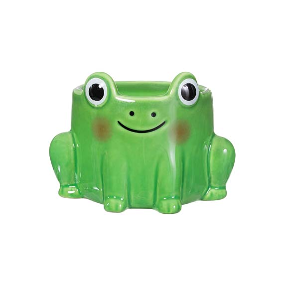 Frog Mini Planter