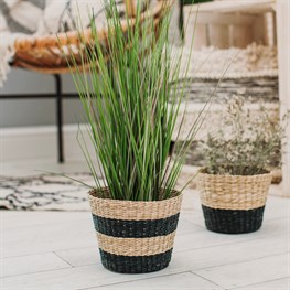Black Stripe Seagrass Planter