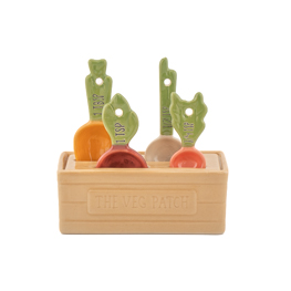 Vegetable Measuring Spoons