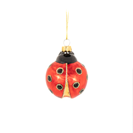Ladybird Shaped Bauble