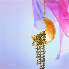 Celestial Moon Hanging Planter