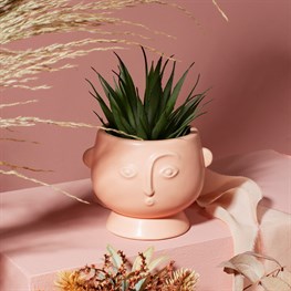 Small Face Planter Matt Pink