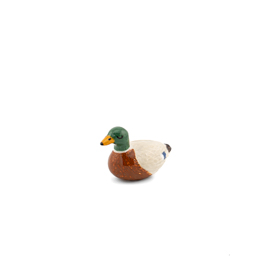 Mallard Duck Token