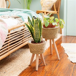 Basket Planter on Legs Small