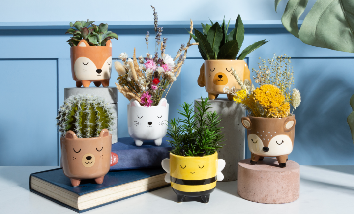 For Animal Lovers