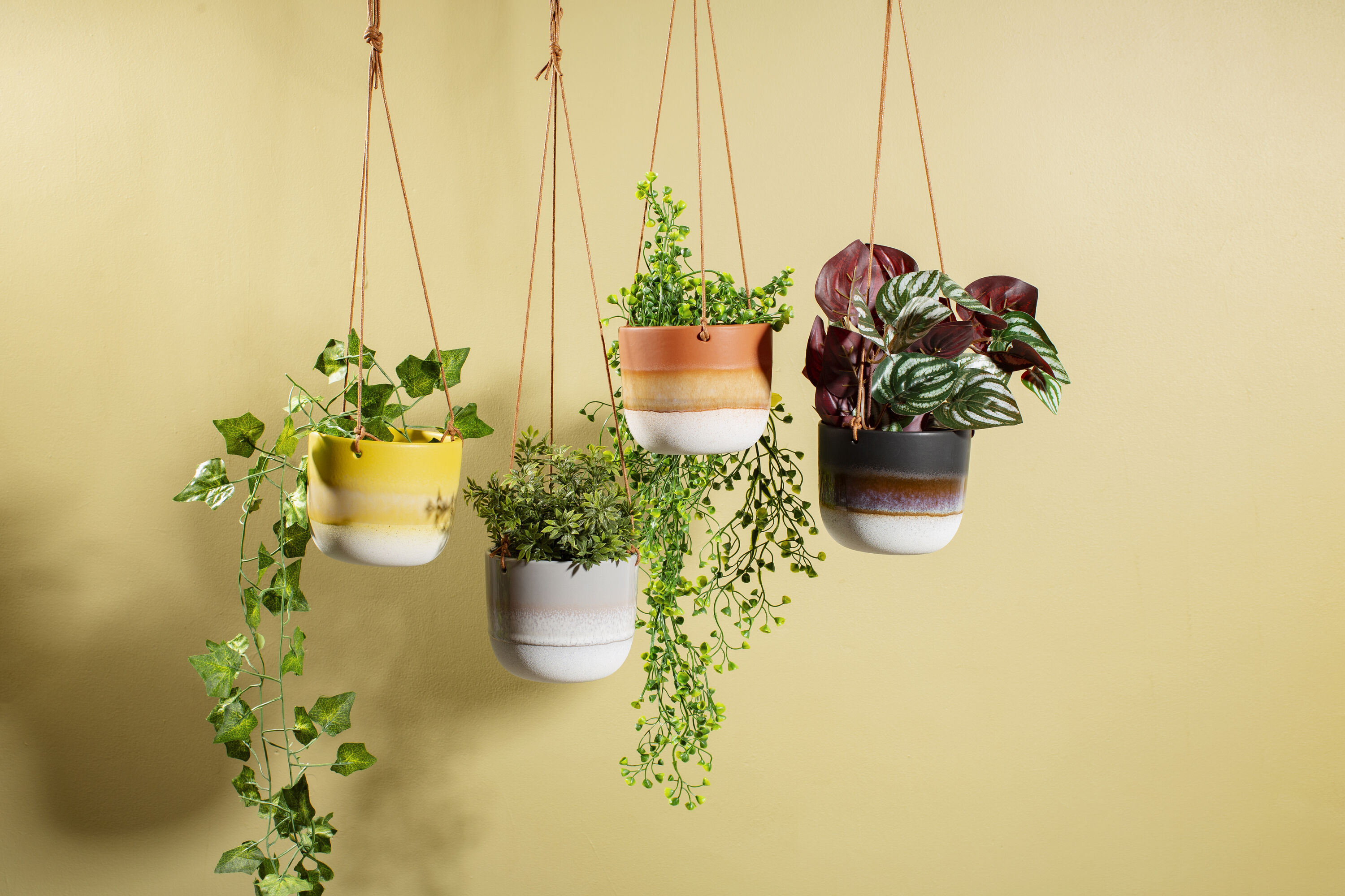 Hanging Wall Planters