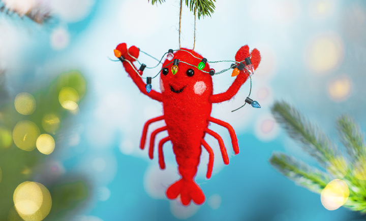 Felt & Embroidery Decorations
