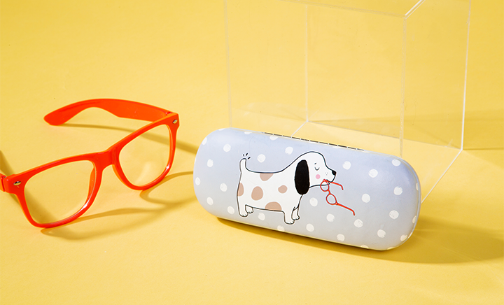 Glasses Cases