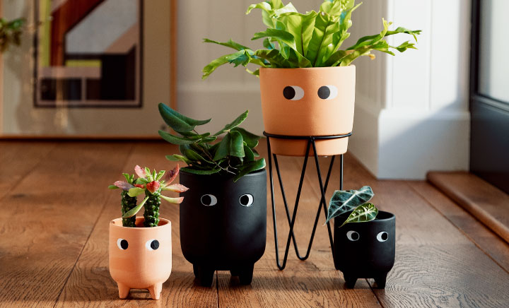 Indoor Planters