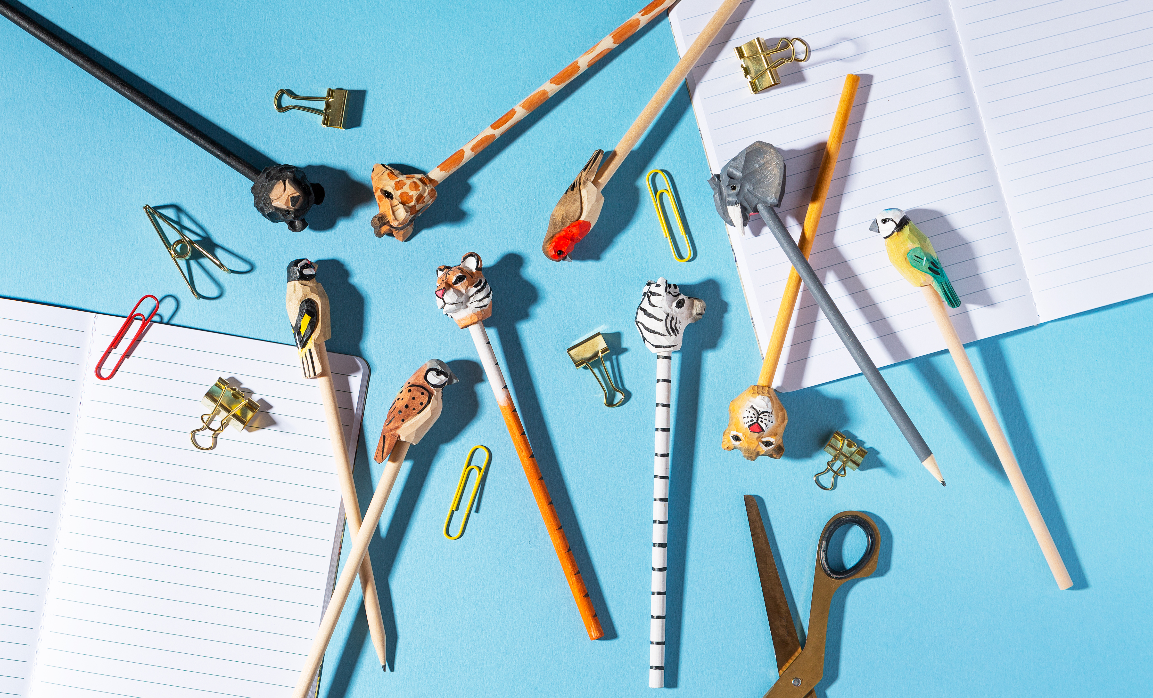 Pens, Pencils & Accessories