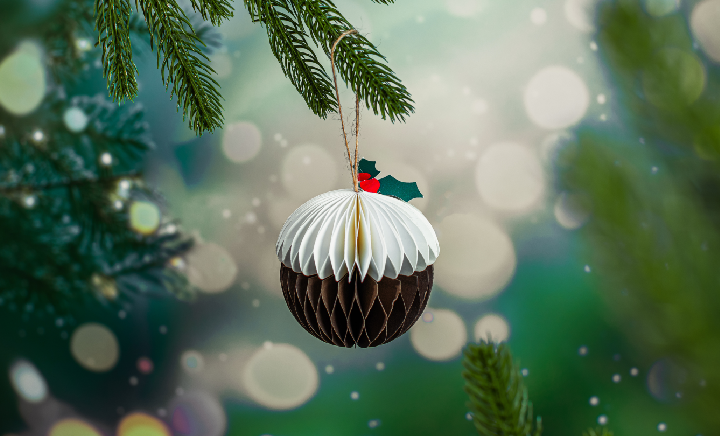 Sustainable Decorations