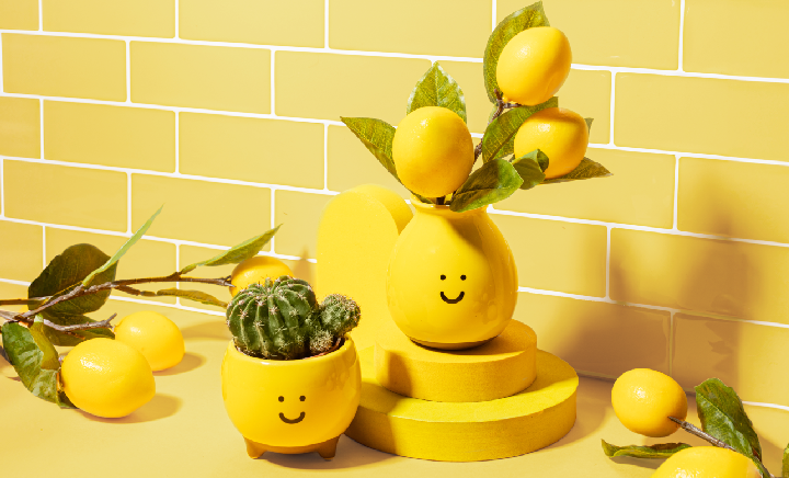 Gifts for Plant Parents
