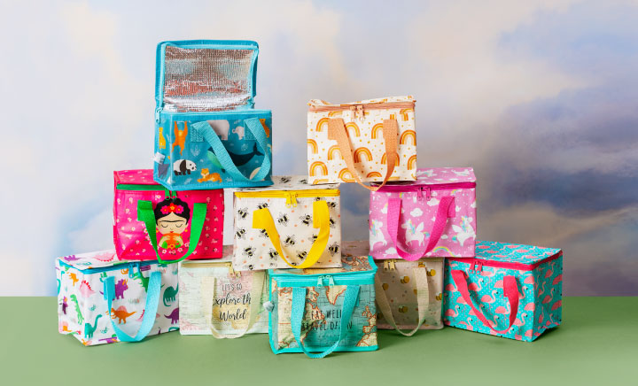 recycled lunch bags for adults