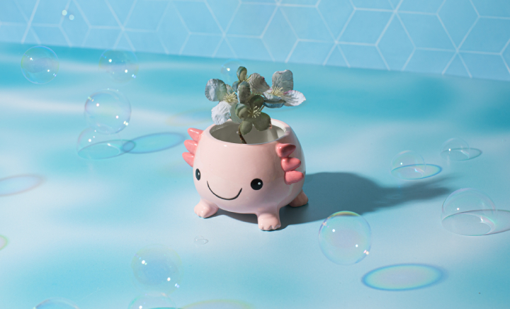 Indoor Planters